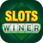 Slots Winner APK